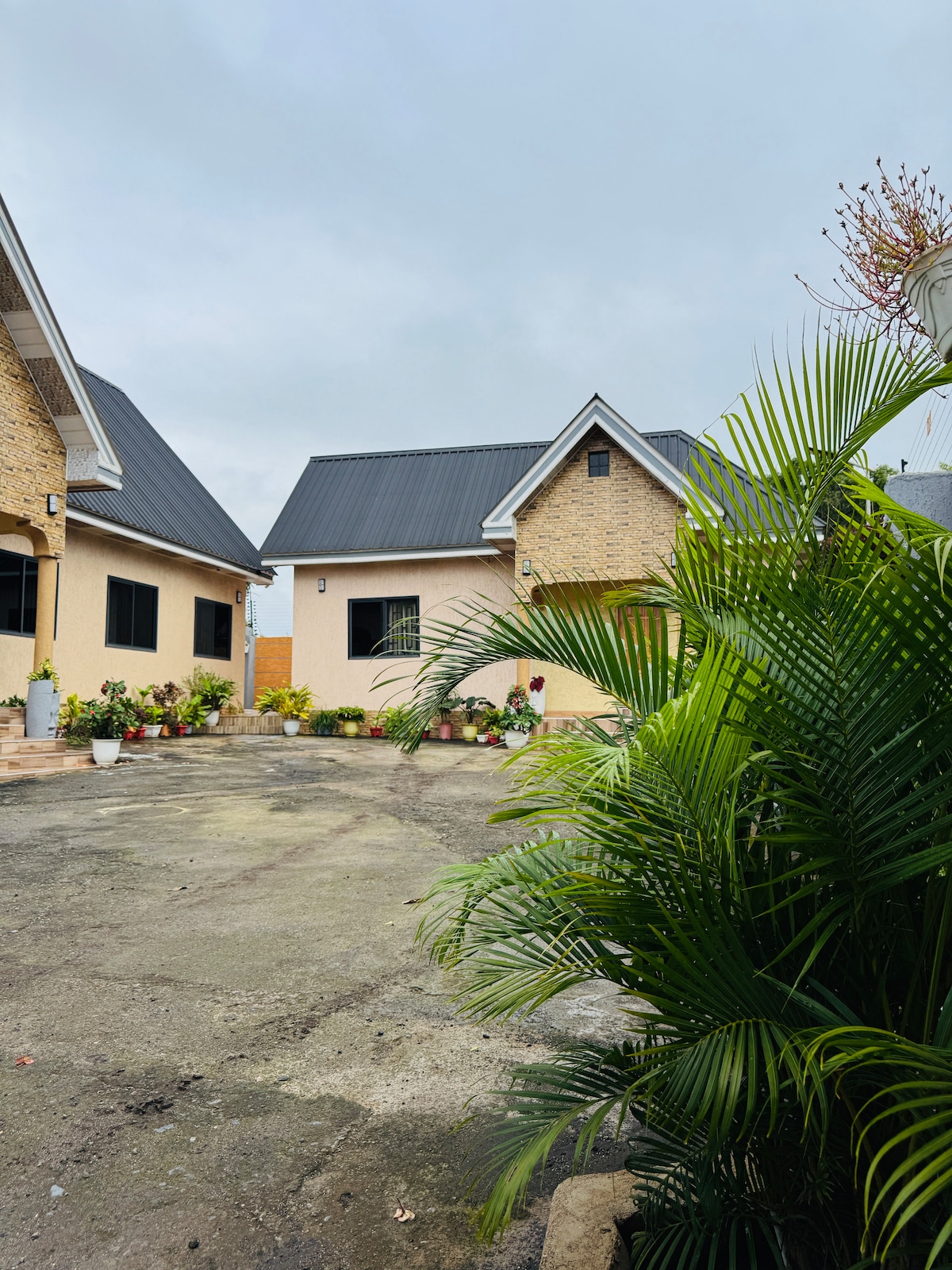 A view of the exterior of a charming house featuring a combination of brick and stucco walls. Lush greenery, including large potted plants, borders the concrete driveway. The roof is uniformly designed, and several windows allow natural light into the space.