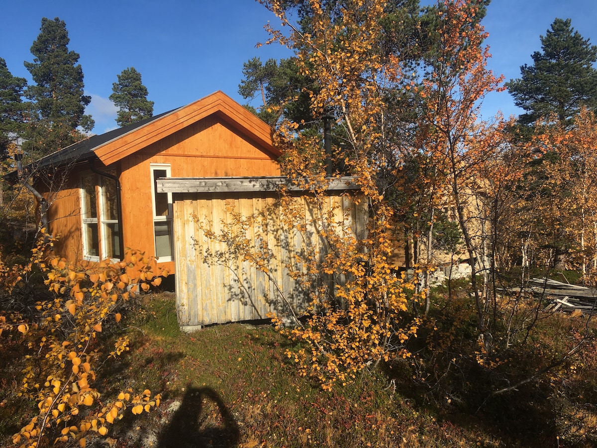 A bright wooden cabin is surrounded by colorful autumn foliage, with golden and green leaves contrasting against the cabin's orange exterior. A small annek is positioned beside the cabin, complementing the natural setting under a clear blue sky.