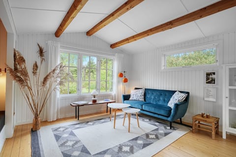 Successful Airbnb property: Unique summer house in Odsherred