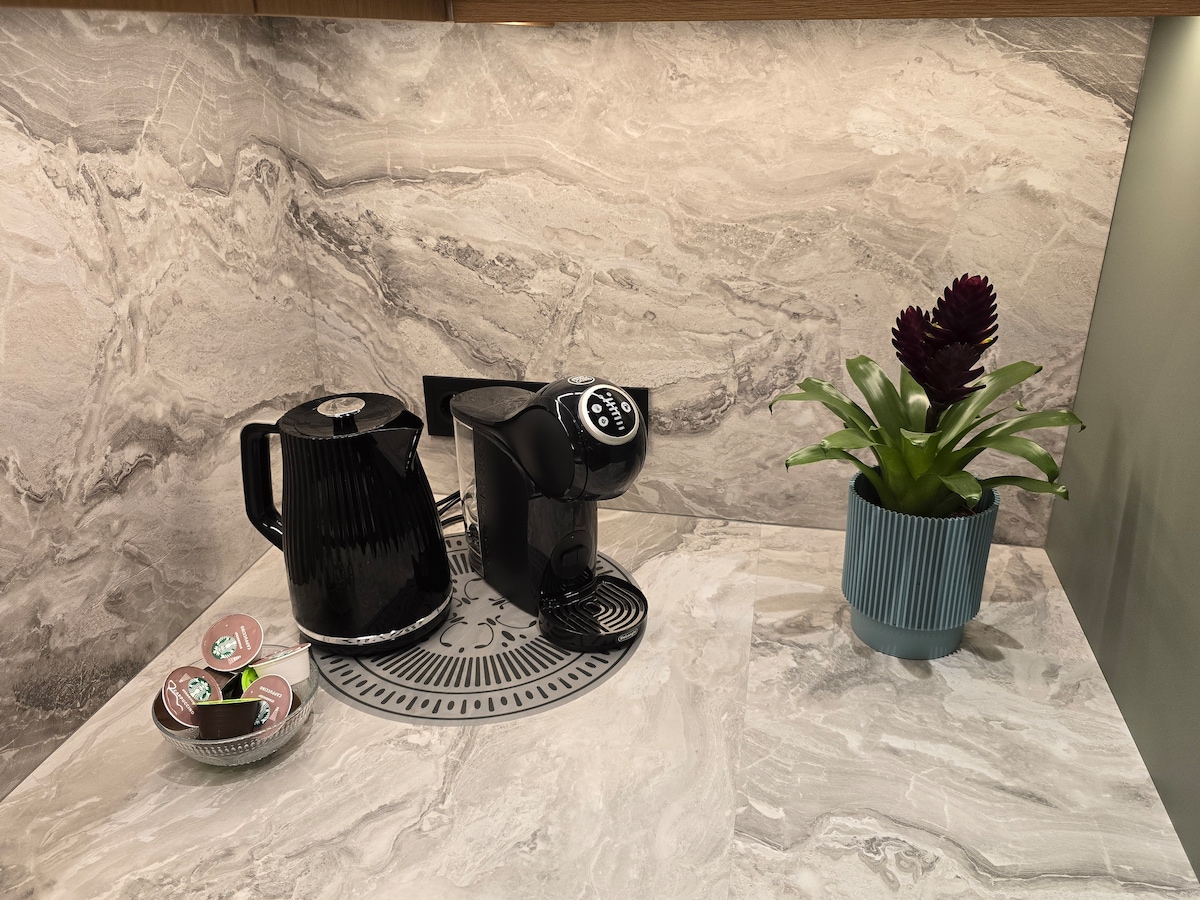 A kitchen countertop is presented with a modern coffee maker and kettle in sleek black finishes. A decorative plant in a textured pot adds a touch of greenery. Beneath them, a circular tray holds assorted coffee pods, positioned on a light-colored stone surface.