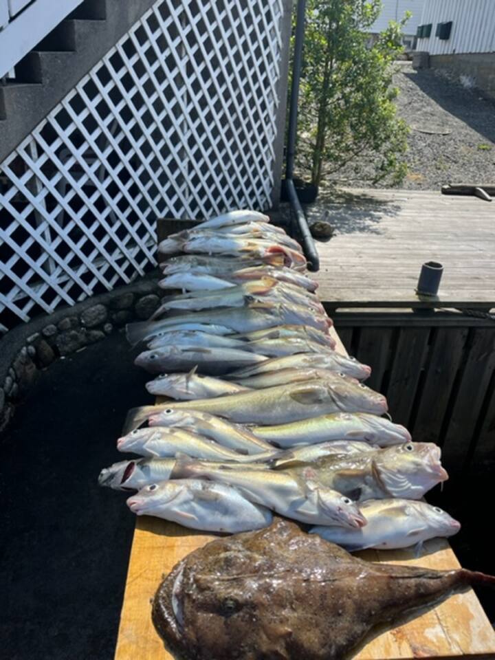 Flere bilder-bilde 3