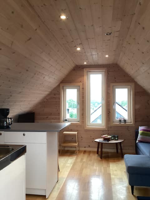 Cozy apartment in one house.