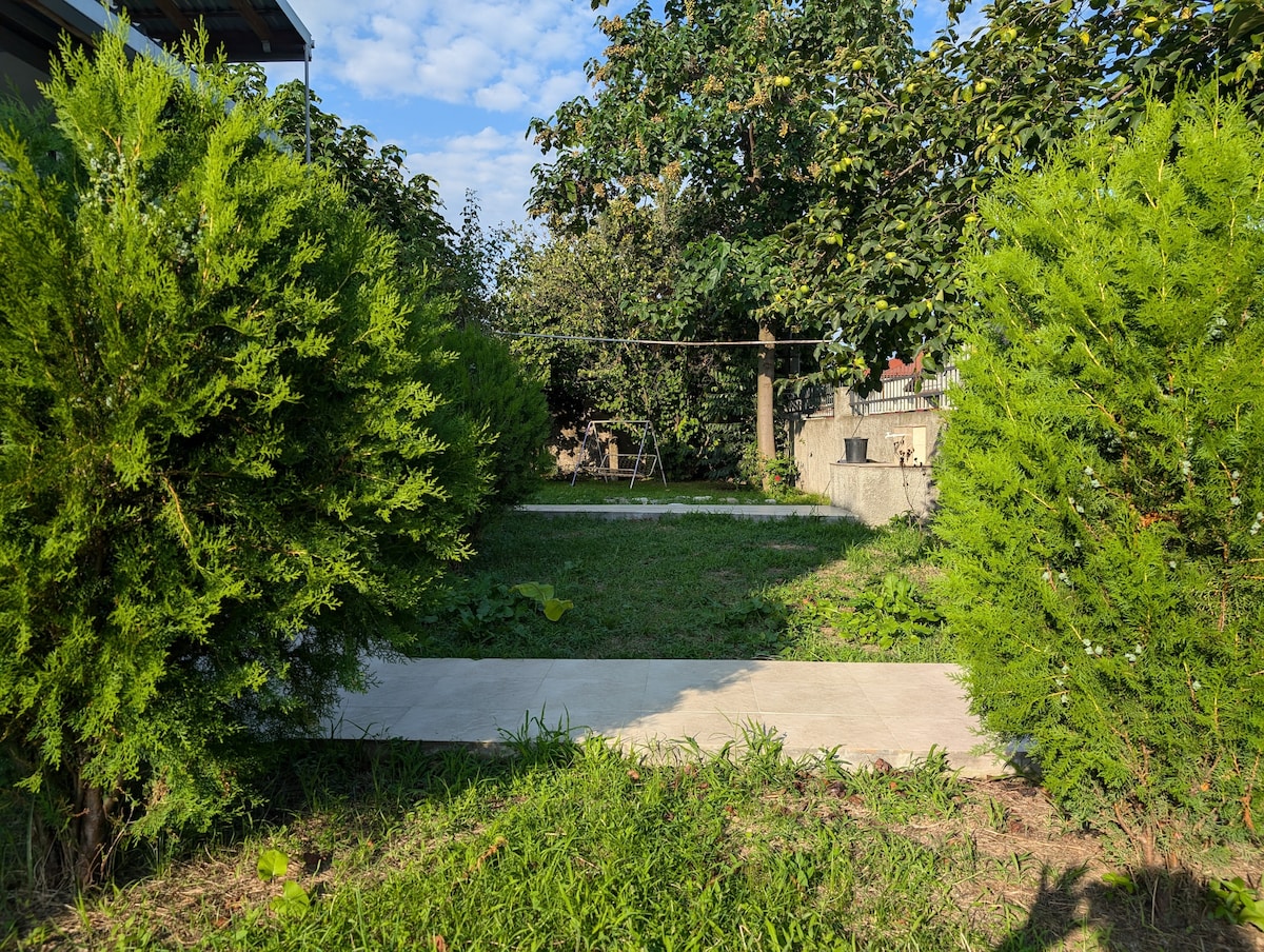 A landscaped outdoor area features neatly trimmed shrubs framing a grassy space. A simple pathway made of concrete leads through the greenery, with a swing set visible in the background among the trees.
