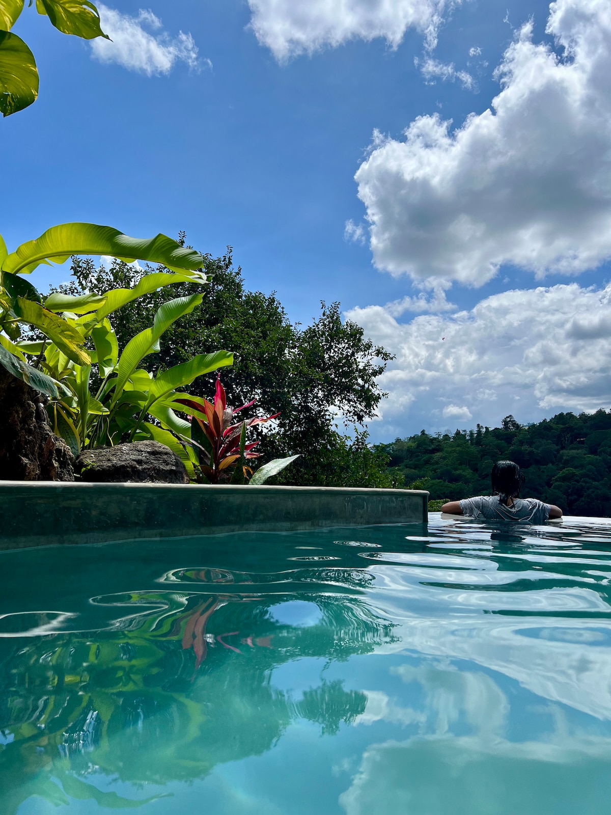 A tranquil outdoor pool is seen, surrounded by lush tropical greenery. Clear blue skies are reflected in the shimmering water, while a person is positioned at the edge, enjoying the peaceful atmosphere. The vibrant plants add a natural touch to the serene setting.