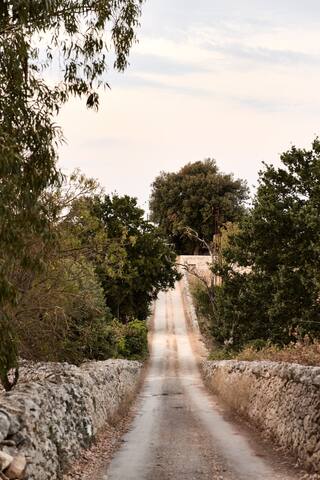 Villa Salve ~ Ostuni, Puglia gallery image 2
