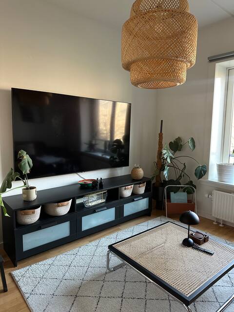 2. Room apartment (2nd Floor)
