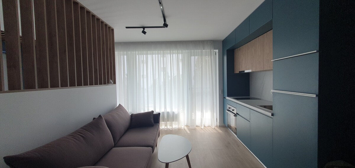 A modern living space is presented with a cozy brown sofa facing a light-filled area. Sheer curtains drape over large windows, allowing natural light to illuminate the room. A sleek kitchen with blue cabinetry and wooden accents is visible in the background.