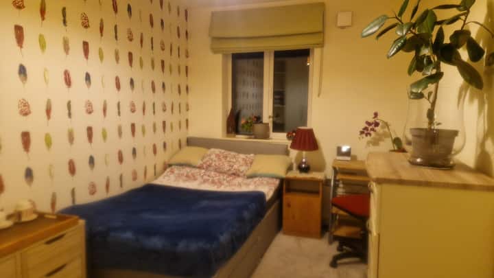 საძინებელი