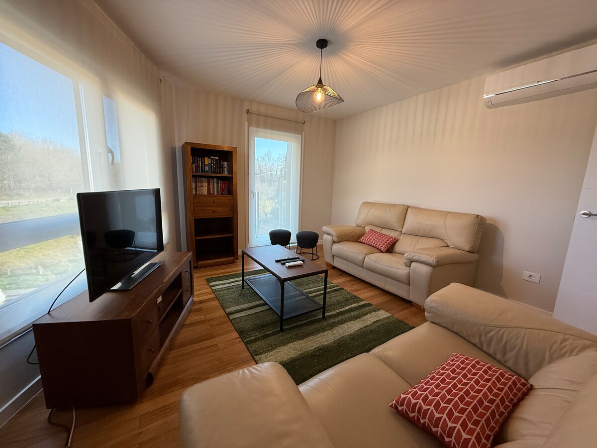 A well-lit living area is presented with a comfortable sectional sofa and two armchairs. A coffee table is centered on a green area rug. A TV unit and a wooden bookshelf are visible, and natural light enters through large windows, enhancing the spaciousness.