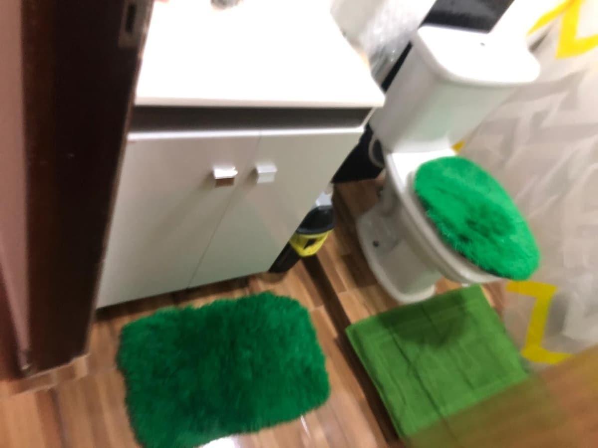 A bathroom is shown featuring a white vanity with a countertop. A toilet is present, accentuated by green plush seat covers. Two textured rugs in shades of green are positioned on the wooden floor, contributing to a cohesive color theme.