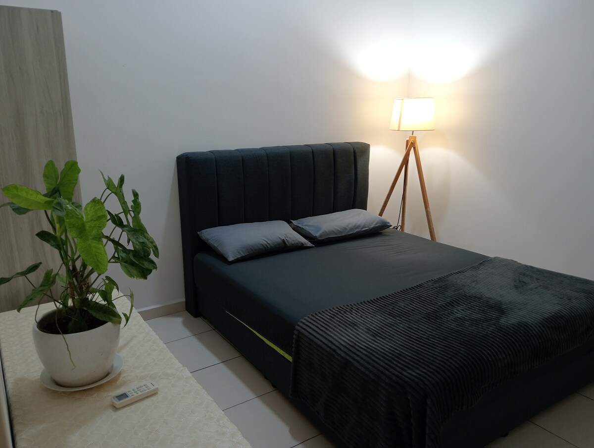 A comfortable sleeping area is featured with a spacious bed dressed in dark bedding and two pillows. A minimalist plant in a white pot sits on a light-colored table. A floor lamp provides soft illumination in the corner, enhancing the room's relaxed ambiance.