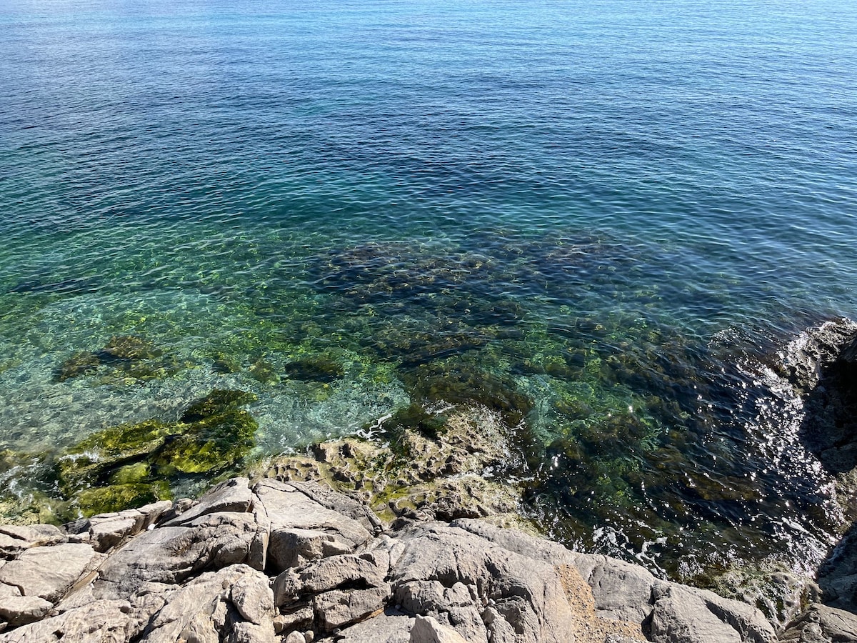 Clear waters are visible along a rocky shoreline, with vibrant green seaweed and other aquatic plants seen beneath the surface. Sunlight reflects off the water, enhancing the natural beauty of the coastal landscape.