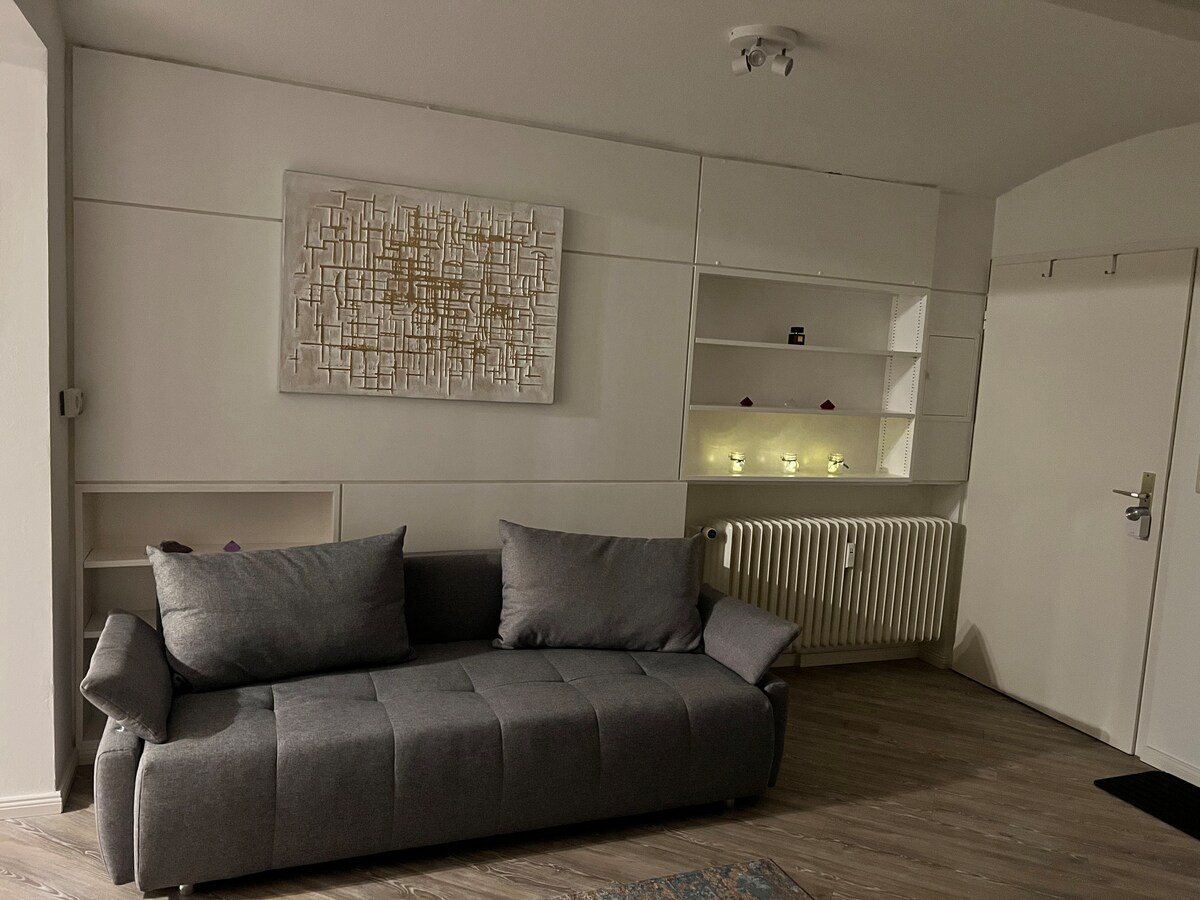 Successful Airbnb property: Charmantes 1,5 Zimmer Apartment in Bestlage in Braunschweig