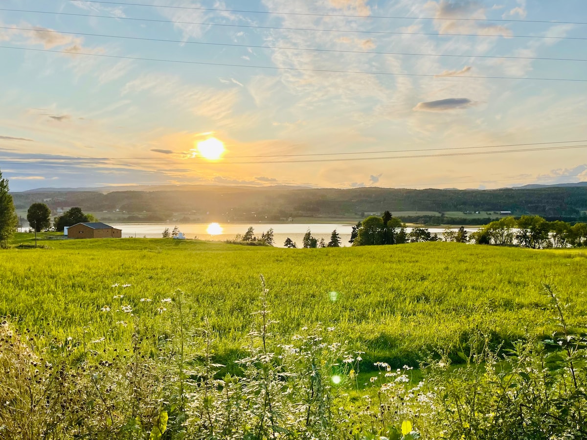 A serene landscape showcases a vast field of green grass with wildflowers in the foreground. A tranquil lake can be seen in the distance, reflecting the golden hues of the setting sun against a backdrop of rolling hills and a clear sky.