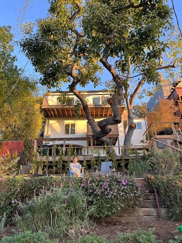 Silverlake Bungalow w Dream View