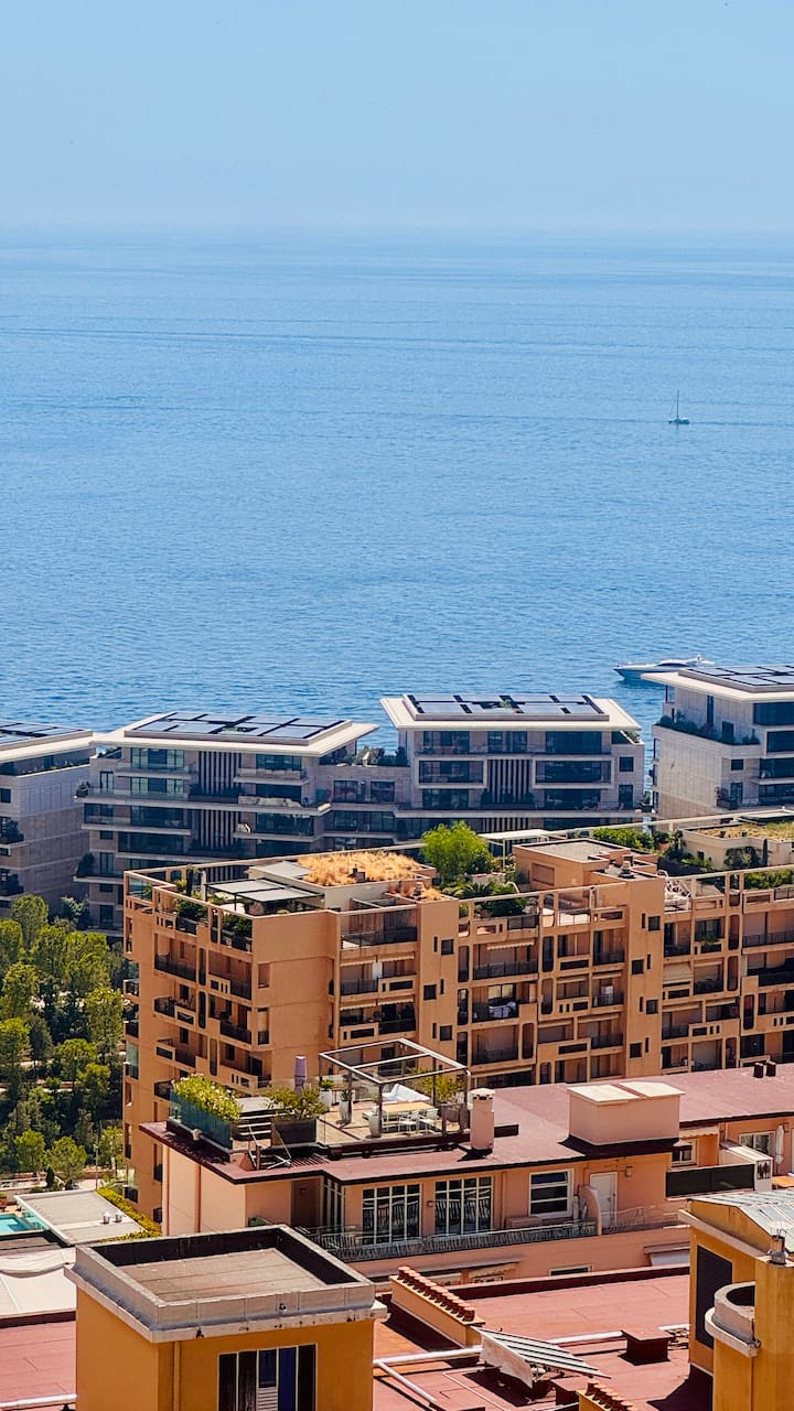 Incredible 180•view Studio Close To Casino/beach - Monte Carlo