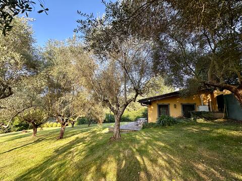 Olive Cottage