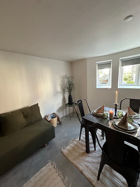 Beautiful apartment Skanderborg