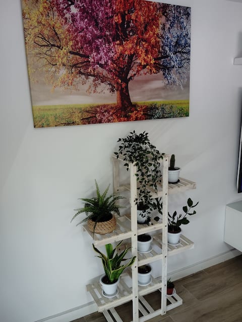 Nice, comfortable and very spacious apartment