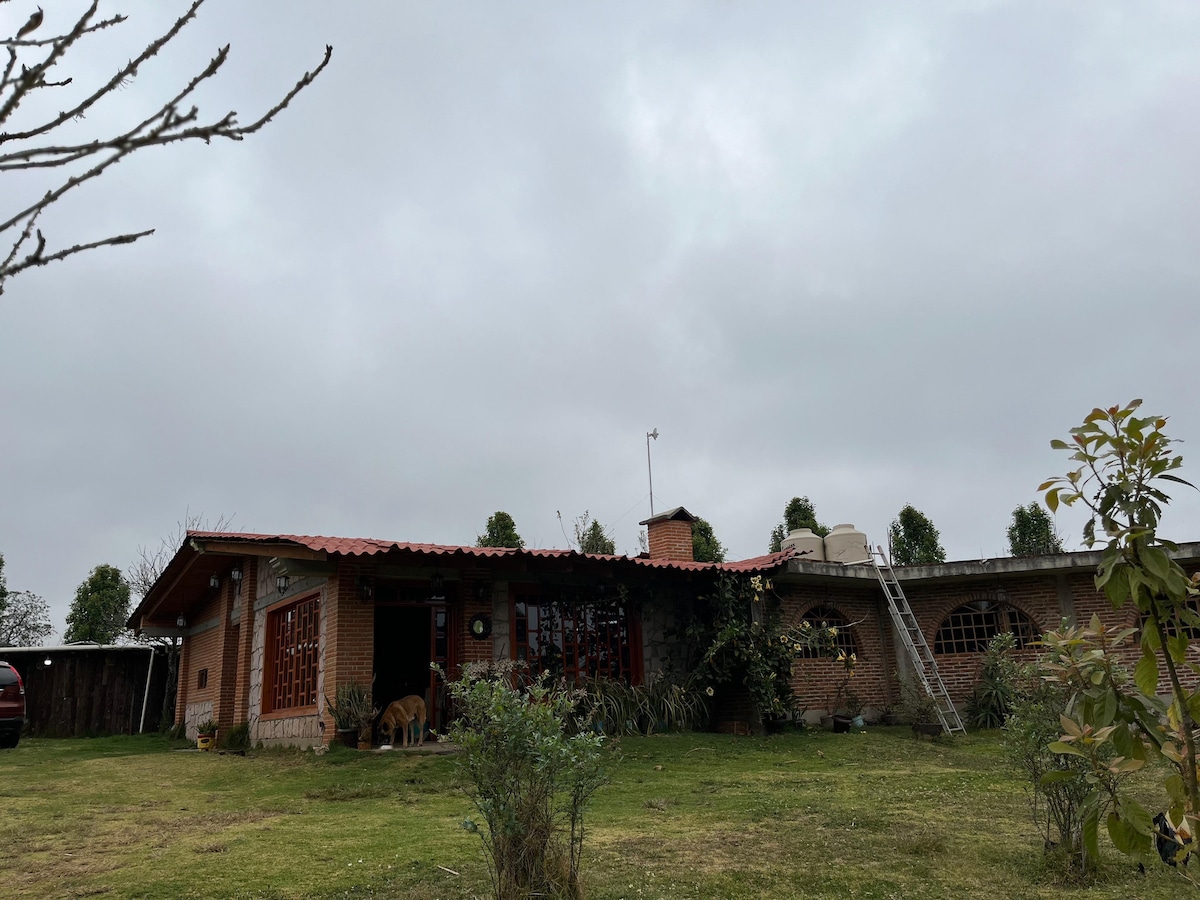 A rustic cabin with a red tile roof is shown amidst a lush green landscape. Large windows allow natural light to fill the space, while surrounding greenery adds to the serene environment. A gravel path leads to the entrance and a friendly dog can be seen nearby.