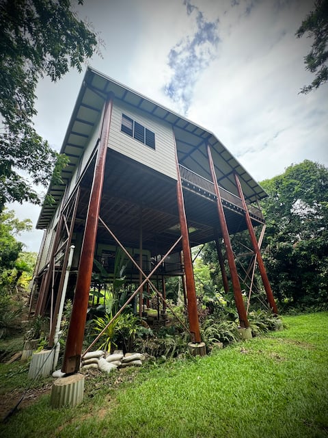 The Treehouse Cooktown