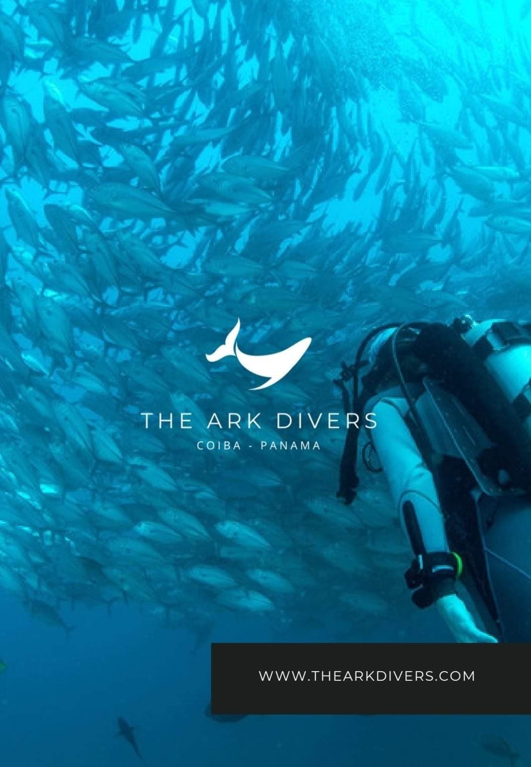 An underwater scene features a diver surrounded by a large school of fish. The blue water creates a serene backdrop, highlighting the diver's gear and the shimmering movement of the fish, demonstrating the vibrant marine life near Coiba National Park.