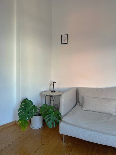 Beliebte Airbnb-Anzeige: Cozy old building apartment in Neustadt/Süd