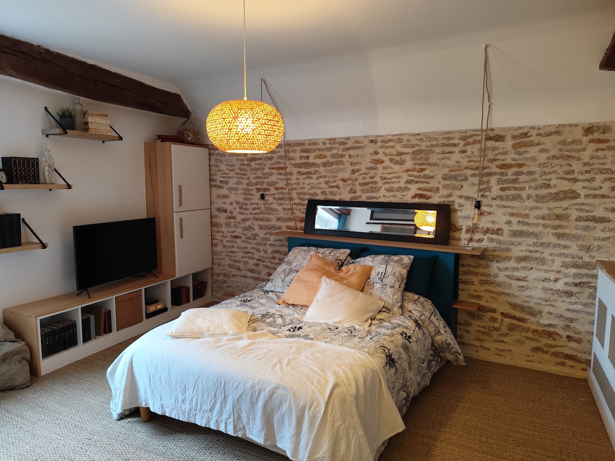 A cozy bedroom features a spacious bed with decorative pillows placed against a backdrop of rustic stone walls. A bright pendant light hangs above, while a mirrored panel adds depth. Shelves display books and a small television is positioned for easy viewing.