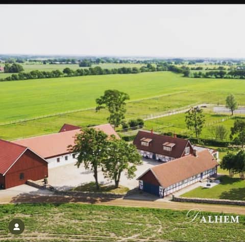 Unique apartment on horse farm