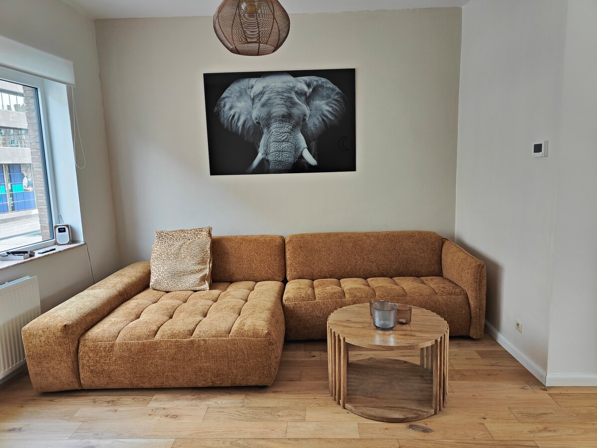 Popular Airbnb listing: Cosy duplex with terrace in Vlaanderen