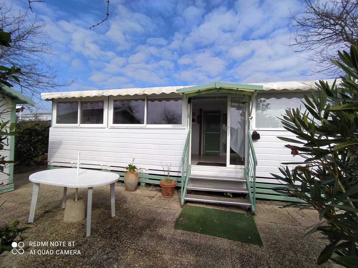 A single-story chalet features large windows that allow natural light to fill the interior. The entrance is framed by light-colored siding, with a small covered porch and steps leading to the door. Potted plants add greenery to the outdoor space, enhancing its charm.