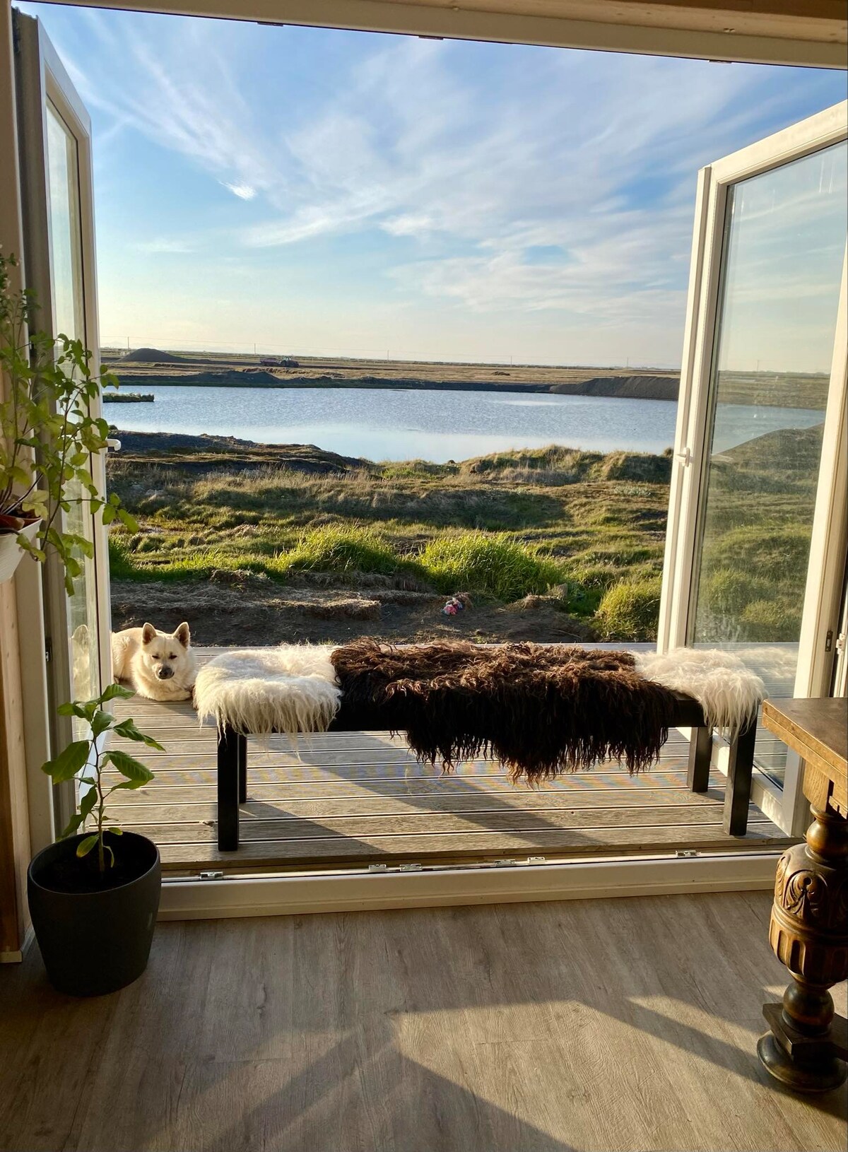 An open door reveals a serene view of a lake and lush green landscape. A cozy bench, dressed with soft fur, is positioned on the deck. A small plant is seen indoors beside the door, while a dog rests nearby outside.
