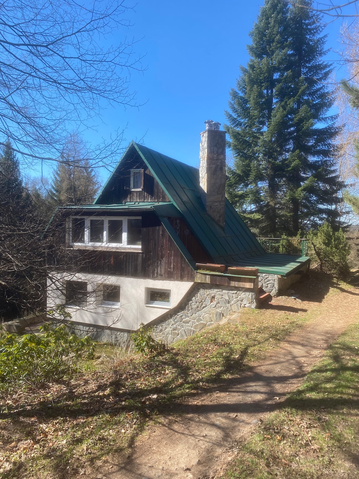 The exterior of a cozy cabin is shown, featuring a green metal roof and stone accents. Tall trees surround the structure, which is partially nestled into the landscape. A path leads towards the cabin, emphasizing its secluded, nature-filled setting.