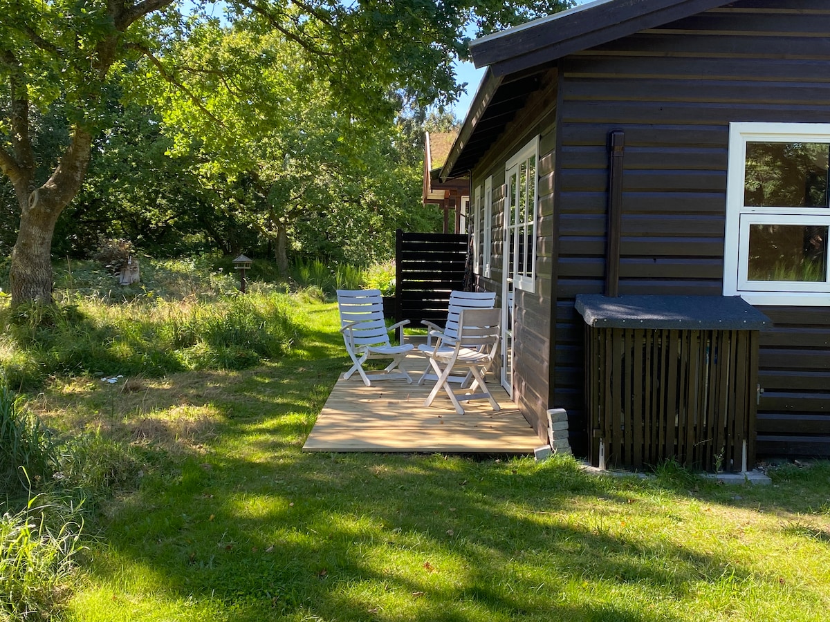 A wooden deck is seen outside the cabin, furnished with two white chairs positioned for relaxation. Lush green grass and trees surround the area, providing a serene atmosphere. The cabin exterior features dark wood siding and multiple windows, allowing natural light to enter.