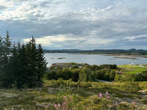 State of the sea front cottage