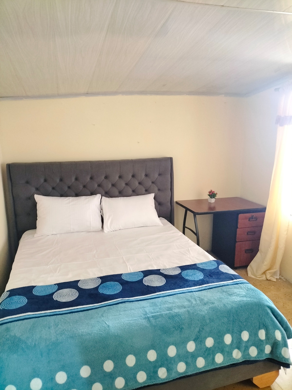 A cozy bedroom features a queen-sized bed with a tufted headboard, dressed in crisp white linens and a soft, blue throw blanket. A small desk with drawers and a potted plant are positioned beside the bed. Natural light enters through a window adorned with light curtains.