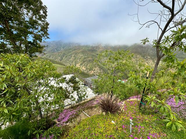 Malibu Nature Lovers Retreat gallery image 4