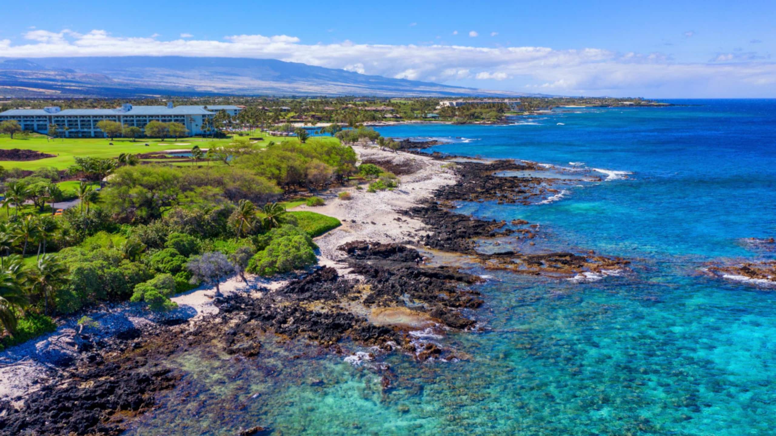 Home in Waimea · ★5.0 · 3 bedrooms · 3 beds · 3.5 baths - Image 21