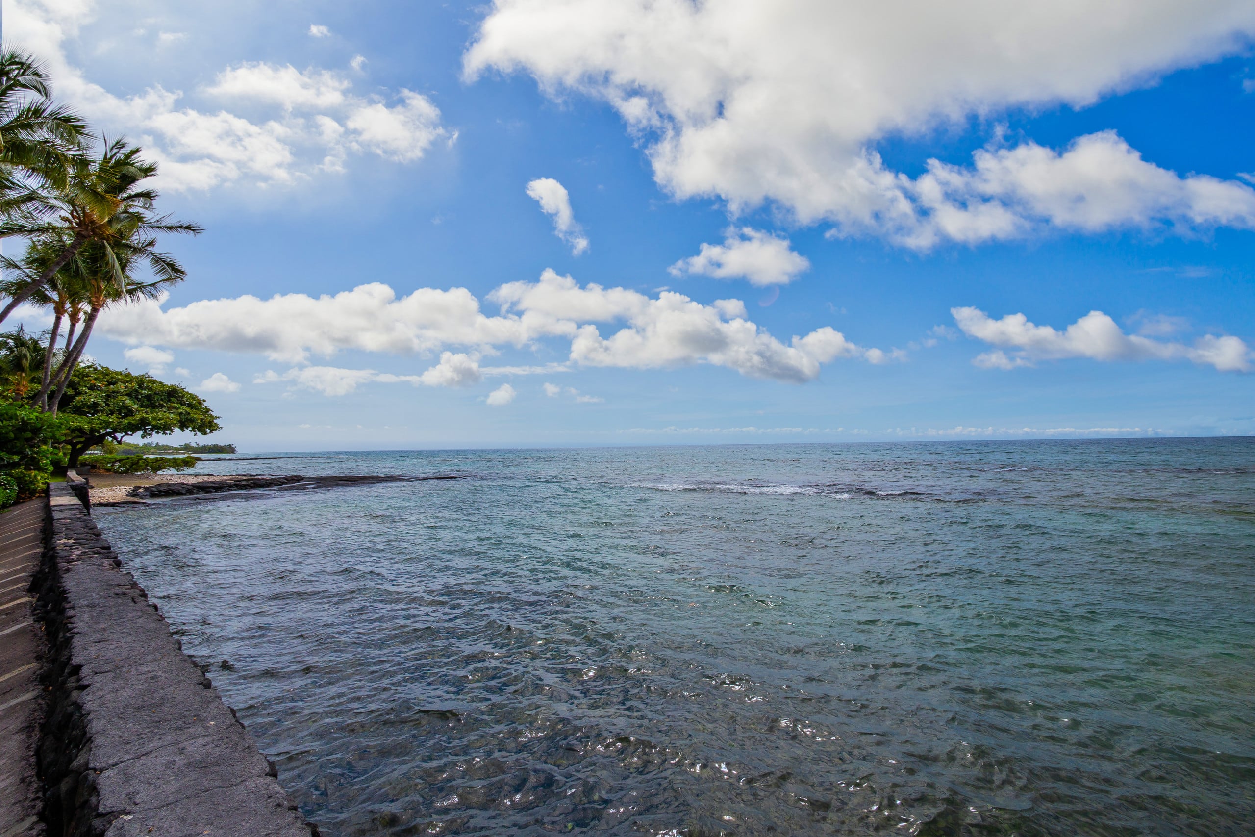 Home in Waimea · ★5.0 · 3 bedrooms · 3 beds · 3.5 baths - Image 60