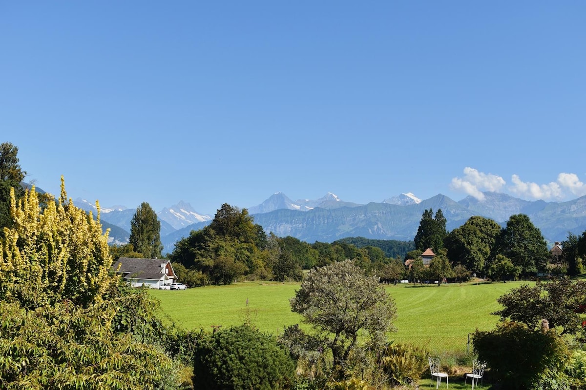 The image captures a panoramic view of lush greenery extending to the horizon, framed by distant mountains topped with snow. A clear blue sky overhead enhances the scene, while trees and flowering plants dot the landscape, contributing to a serene natural ambiance.