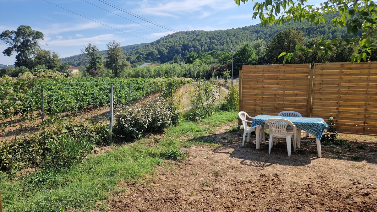 An outdoor dining area is set up with a table covered by a blue checkered tablecloth and surrounded by four white chairs. Lush greenery and vines are visible in the background, with rolling hills rising in the distance under a clear blue sky.