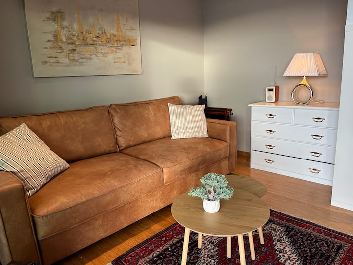 סלון עם ספה נפתחת טובה