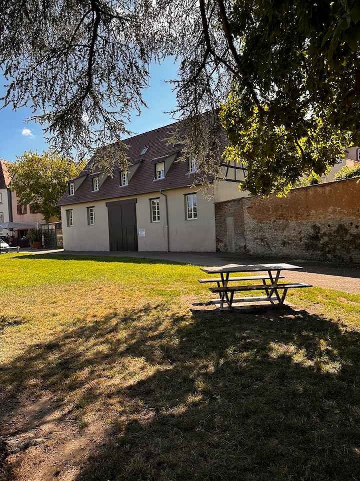 Nice hyper-center duplex quiet parking
Comfort 5*