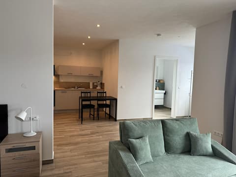 Large 1-room apartment