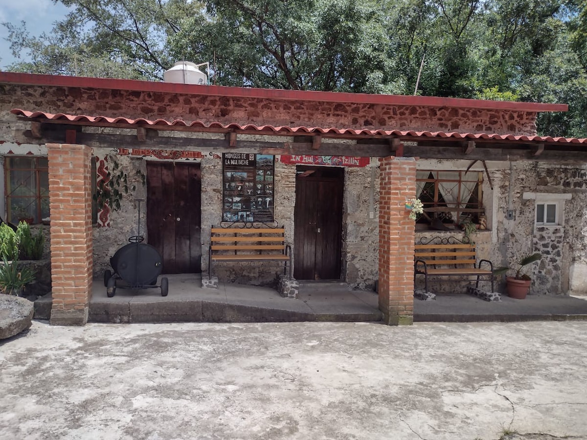 A rustic cabin exterior is shown, featuring stone walls and a red-tiled roof. Two wooden doors are centered between benches, all situated on a concrete patio. Lush greenery surrounds the area, enhancing a serene outdoor environment.