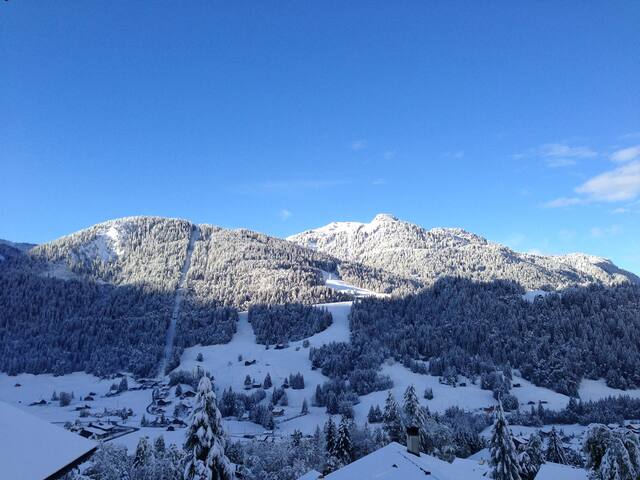 Modern 4BR Chalet | Glacier Views + Hiking gallery image 4