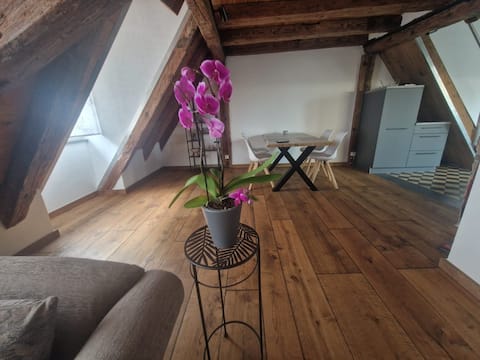 Top performing Airbnb: Romantic loft apartment in the city center in Überlingen