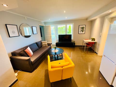 Spacious apartment near the center of Skien