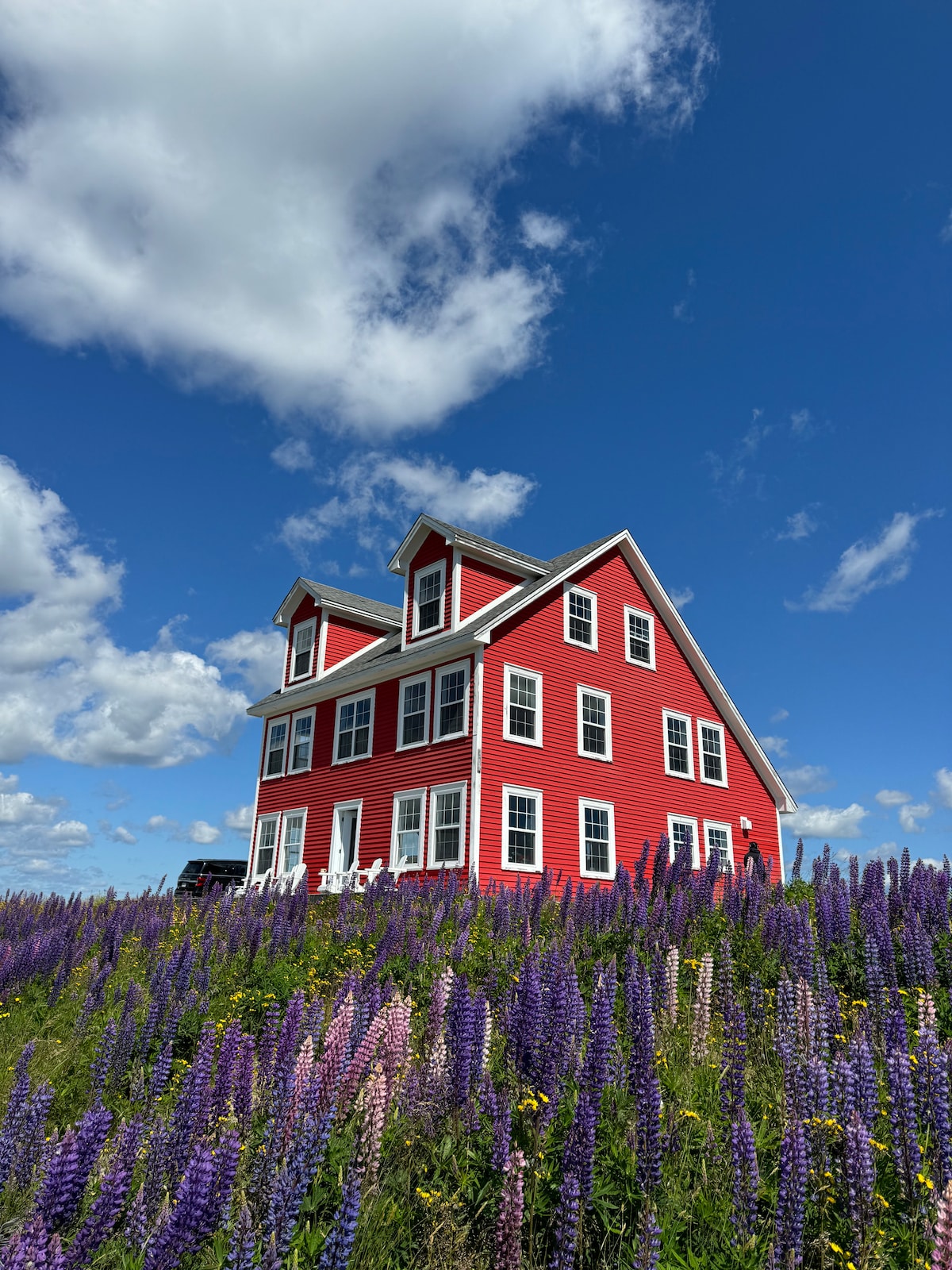 Red House on the Hill - Houses for Rent in English Harbour