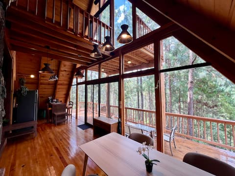 New secret deep forest magic chalet with starlink